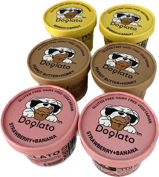 Variety pack Dog Ice Cream 6 Pack (GOULBURN PICK UP OR DELIVERY ONLY)