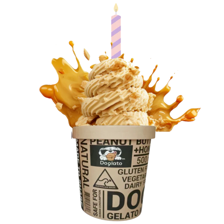 Peanut butter sales dog ice cream