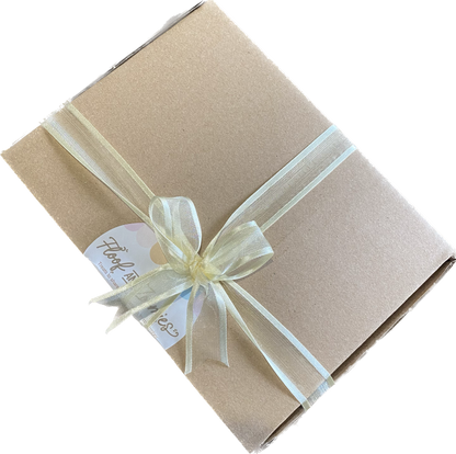 Floof and Zoomies doggy ice cream gift box